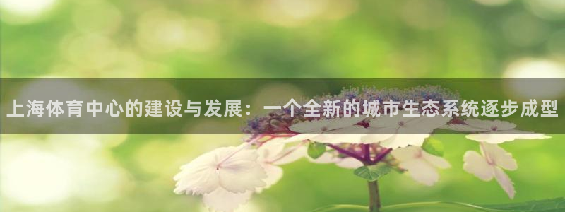 凯捷体育开户：上海体育中心的建设与发展：一个全新的城