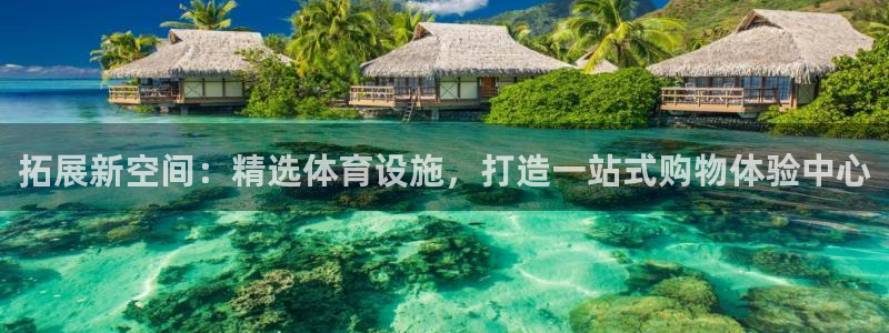 凯捷平台体育：拓展新空间：精选体育设施，打造一站式购