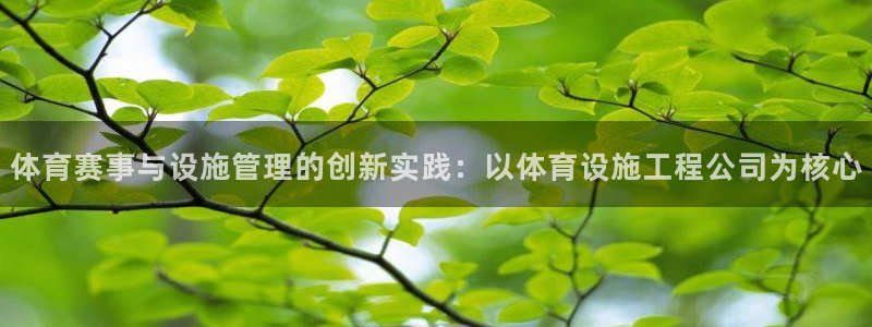 凯捷体育平台假的吗是真的吗：体育赛事与设施管理的创新实践：以