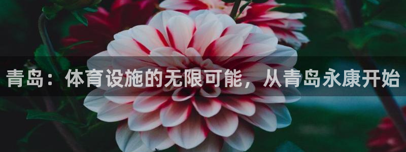 凯捷体育平台：青岛：体育设施的无限可能，从青岛永康开始