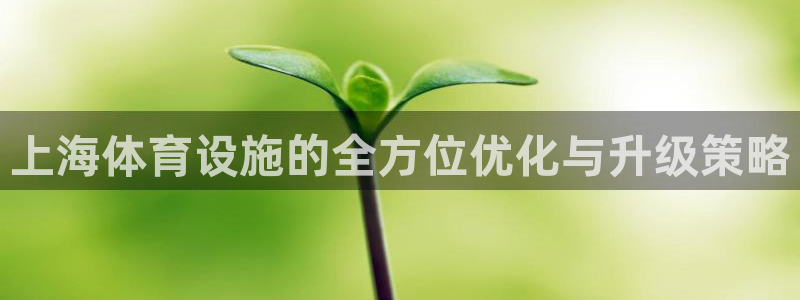 凯捷体育开户：上海体育设施的全方位优化与升级策略
