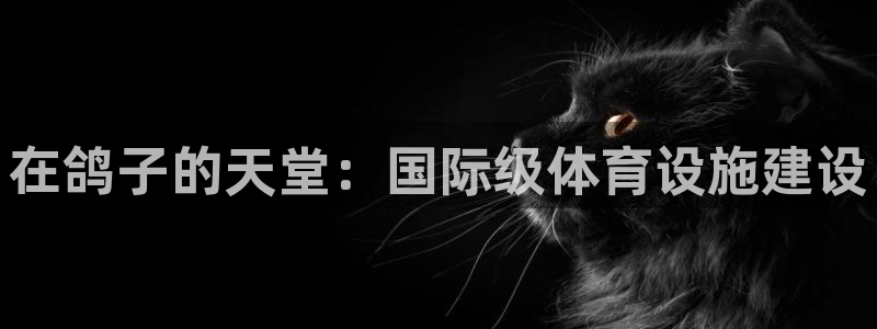 凯捷体育招商电话号码是多少号：在鸽子的天堂：国际级体育设施建