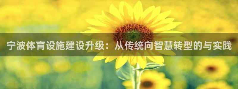 凯捷体育集团简介：宁波体育设施建设升级：从传统向智慧转型的与