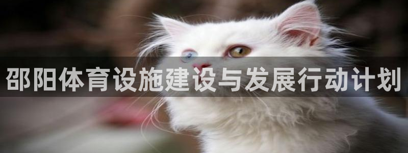 凯捷体育招商电话地址是多少：邵阳体育设施建设与发展行动计划