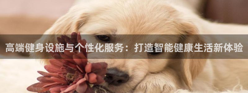 凯捷体育平台是正规平台吗知乎：高端健身设施与个性化服务：打造