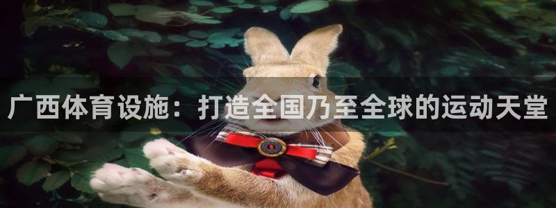 凯捷体育娱乐是那个系列的台子：广西体育设施：打造全国乃至全球