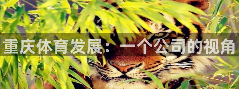 凯捷体育平台是正规平台吗：重庆体育发展：一个公司的视