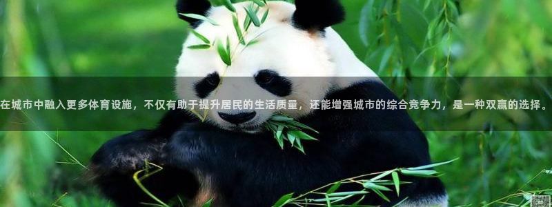 海南凯捷体育：在城市中融入更多体育设施，不仅有助于提