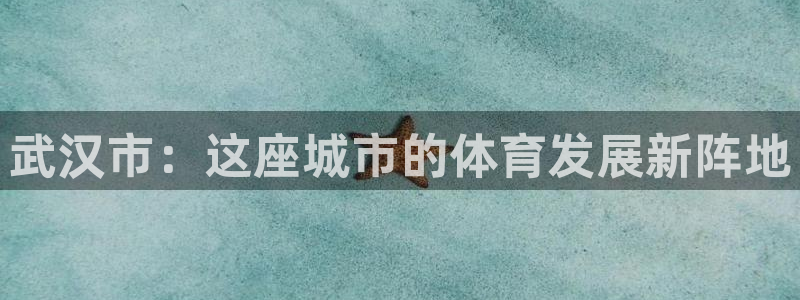 凯捷体育集团官网首页：武汉市：这座城市的体育发展新阵