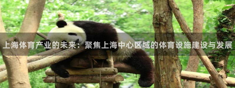 凯捷体育平台注册：上海体育产业的未来：聚焦上海中心区