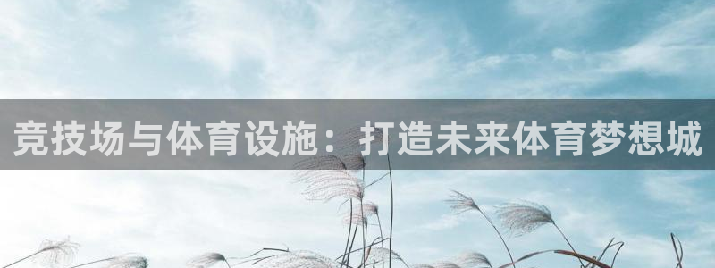 凯捷体育招商电话号码是多少：竞技场与体育设施：打造未