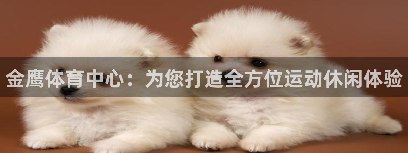 凯捷体育娱乐平台：金鹰体育中心：为您打造全方位运动休