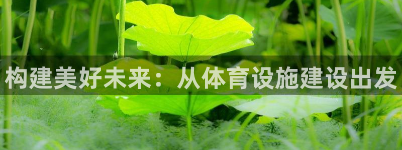 凯捷体育平台注册要钱吗安全吗：构建美好未来：从体育设