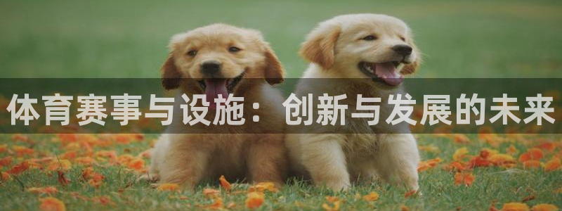 凯捷体育娱乐平台：体育赛事与设施：创新与发展的未来