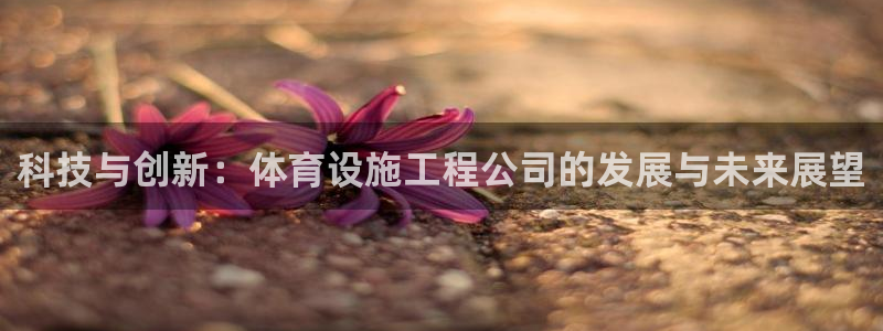 海南凯捷体育发展怎么样：科技与创新：体育设施工程公司