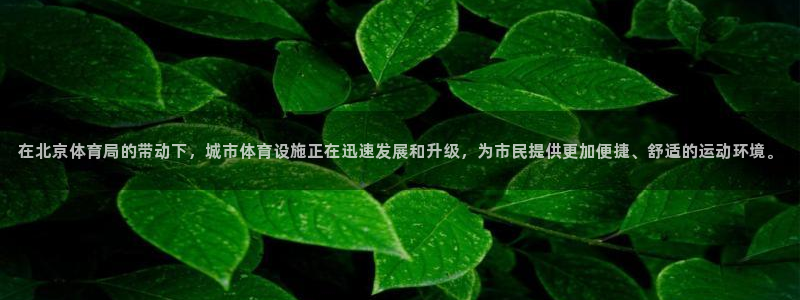 凯捷体育五金厂：在北京体育局的带动下，城市体育设施正