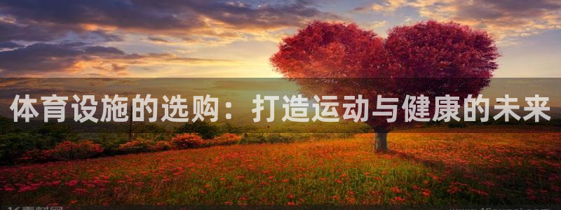 凯捷体育集团：体育设施的选购：打造运动与健康的未来