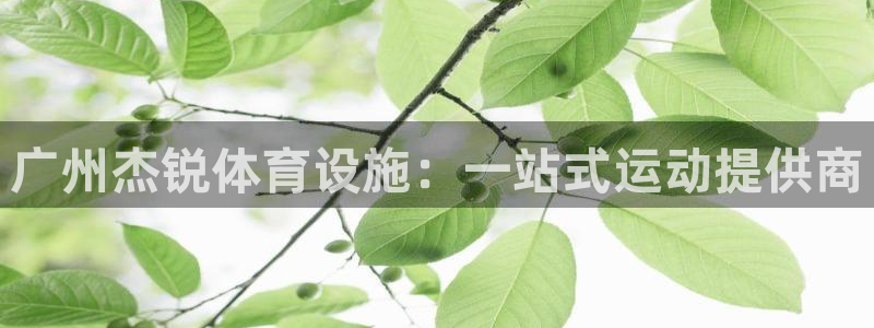 凯捷平台体育：广州杰锐体育设施：一站式运动提供商
