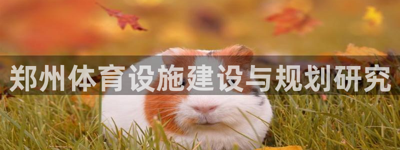 凯捷体育平台注册流程视频：郑州体育设施建设与规划研究