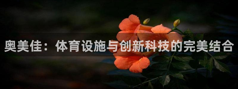 凯捷体育招商电话是多少啊：奥美佳：体育设施与创新科技