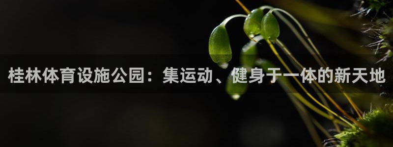 凯捷体育平台假的吗是真的吗吗：桂林体育设施公园：集运