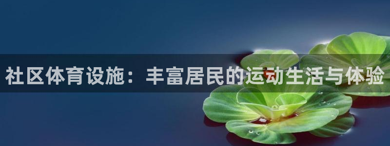 凯捷体育平台注册要钱吗安全吗：社区体育设施：丰富居民