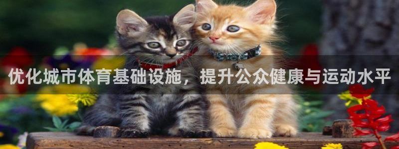 凯捷集团官网：优化城市体育基础设施，提升公众健康与运