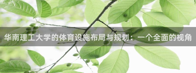 凯捷体育：华南理工大学的体育设施布局与规划：一个全面