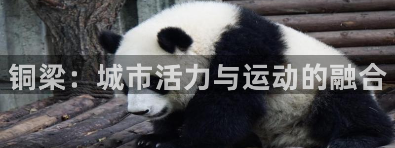 凯捷体育娱乐代理怎么样：铜梁：城市活力与运动的融合