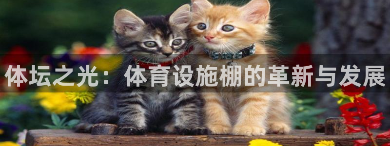 凯捷体育娱乐是那个系列的台子：体坛之光：体育设施棚的