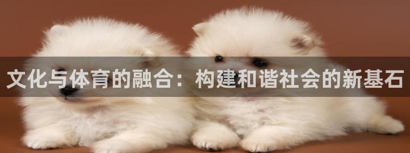 凯捷体育娱乐首页网站大全：文化与体育的融合：构建和谐