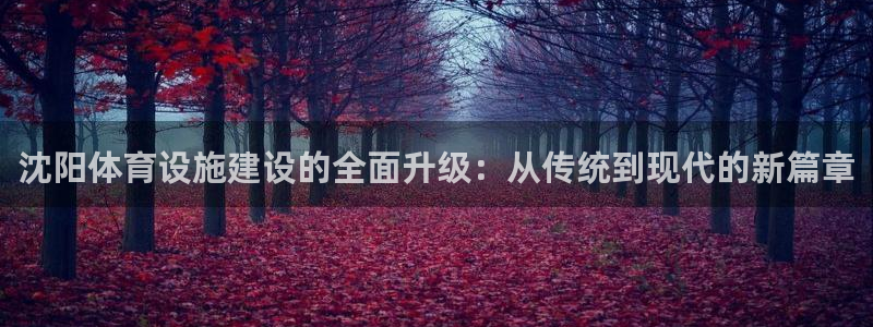 凯捷体育招商电话号码是多少：沈阳体育设施建设的全面升