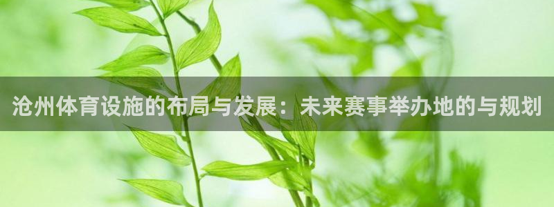 凯捷体育平台注册要钱吗安全吗：沧州体育设施的布局与发