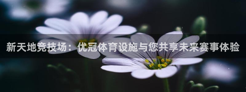 凯捷体育娱乐：新天地竞技场：优冠体育设施与您共享未来