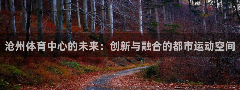 注册凯捷体育：沧州体育中心的未来：创新与融合的都市运