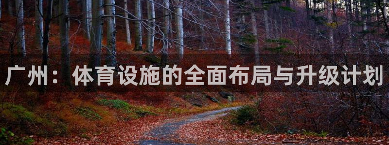 凯捷体育官方：广州：体育设施的全面布局与升级计划