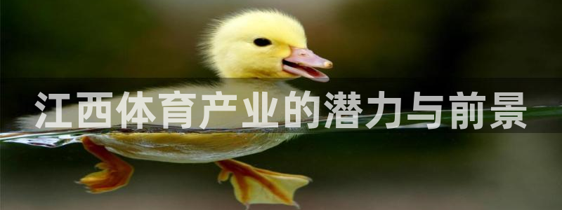海南凯捷体育：江西体育产业的潜力与前景