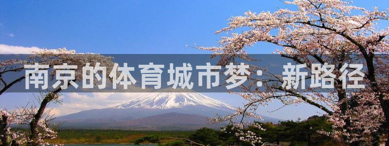 凯捷体育平台注册要钱吗是真的吗：南京的体育城市梦：新
