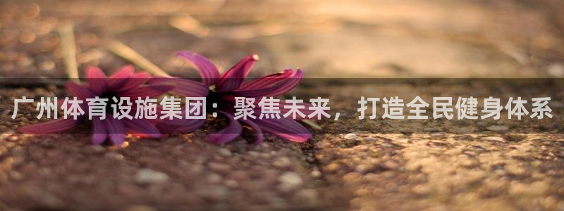 凯捷体育联系电话：广州体育设施集团：聚焦未来，打造全