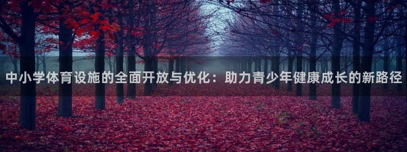 凯捷体育娱乐40996：中小学体育设施的全面开放与优化：助力
