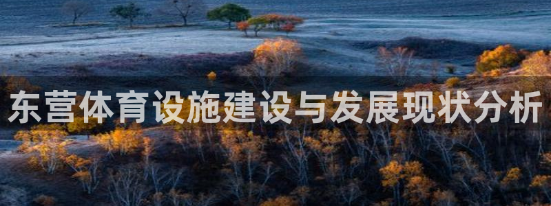 凯捷体育娱乐40996：东营体育设施建设与发展现状分析