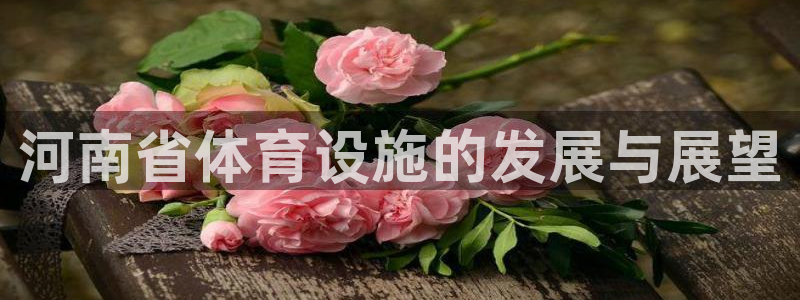 凯捷体育联系电话：河南省体育设施的发展与展望