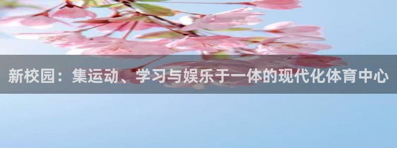 凯捷体育招商：新校园：集运动、学习与娱乐于一体的现代化体育中