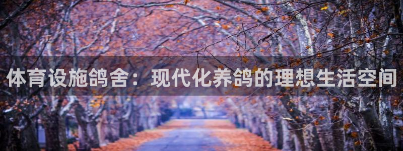 凯捷体育娱乐40996：体育设施鸽舍：现代化养鸽的理想生活空