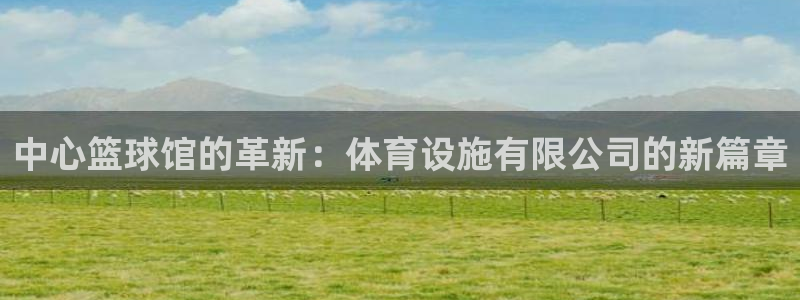 德国凯捷体育集团：中心篮球馆的革新：体育设施有限公司的新篇章