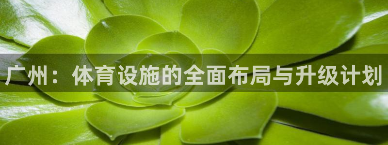 凯捷体育平台是正规平台吗安全吗：广州：体育设施的全面布局与升