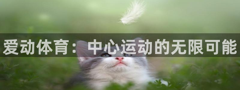 凯捷体育科技：爱动体育：中心运动的无限可能 