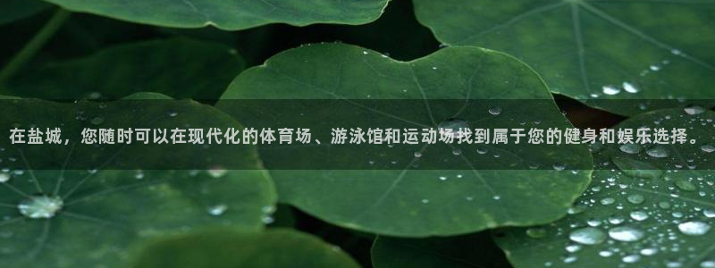 凯捷体育娱乐下载：在盐城，您随时可以在现代化的体育场、游泳馆