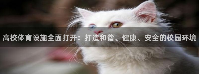 凯捷体育官方：高校体育设施全面打开：打造和谐、健康、安全的校 
