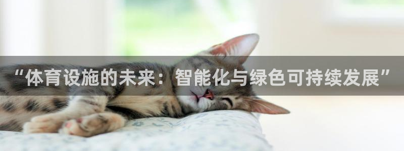 凯捷体育娱乐平台：“体育设施的未来：智能化与绿色可持续发展”